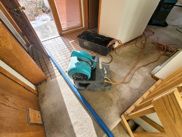 Best Carpet water damage restoration  in East Norwich, NY