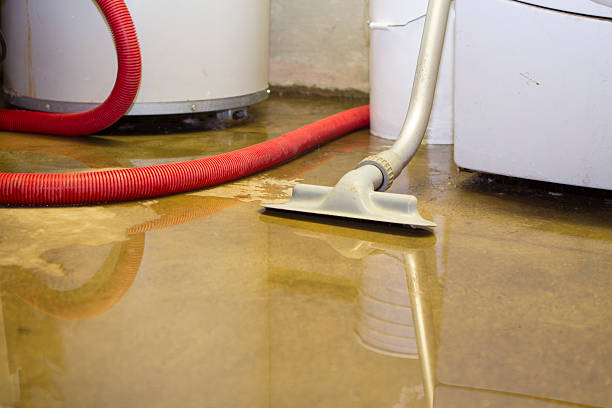 Best Local water damage restoration  in East Norwich, NY
