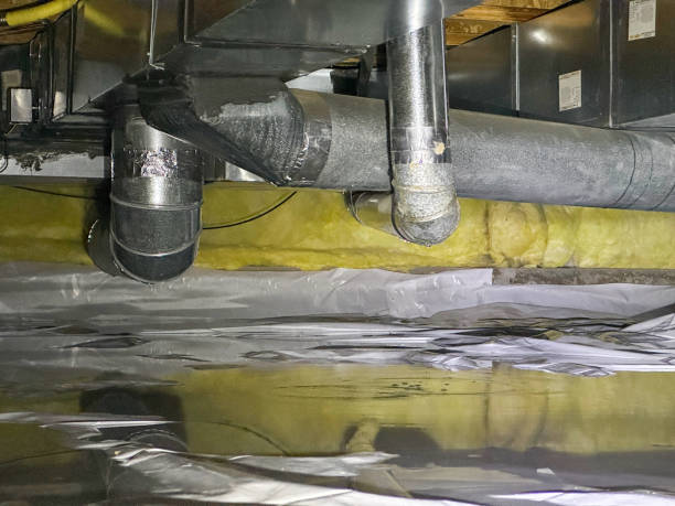 Professional Water damage restoration in East Norwich, NY