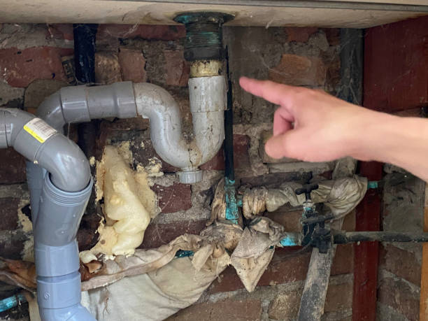 Best Basement water damage restoration  in East Norwich, NY